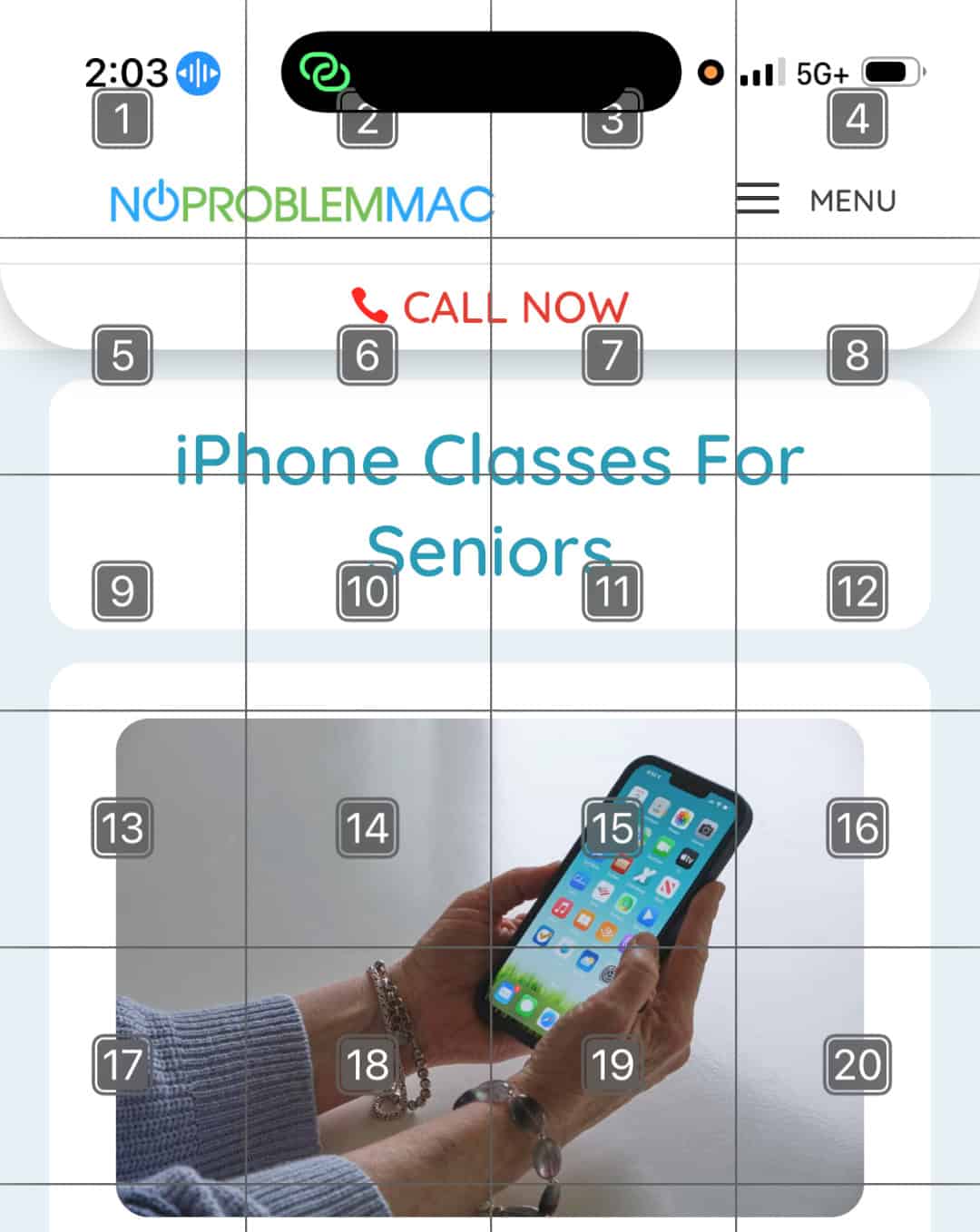 Apple Accessibility - Voice Control - Show Grid